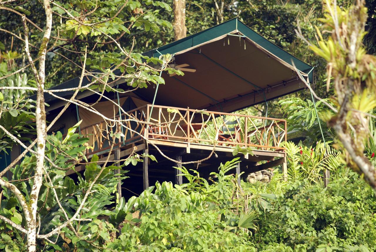 Rafiki Safari Lodge Savegre Pokój zdjęcie